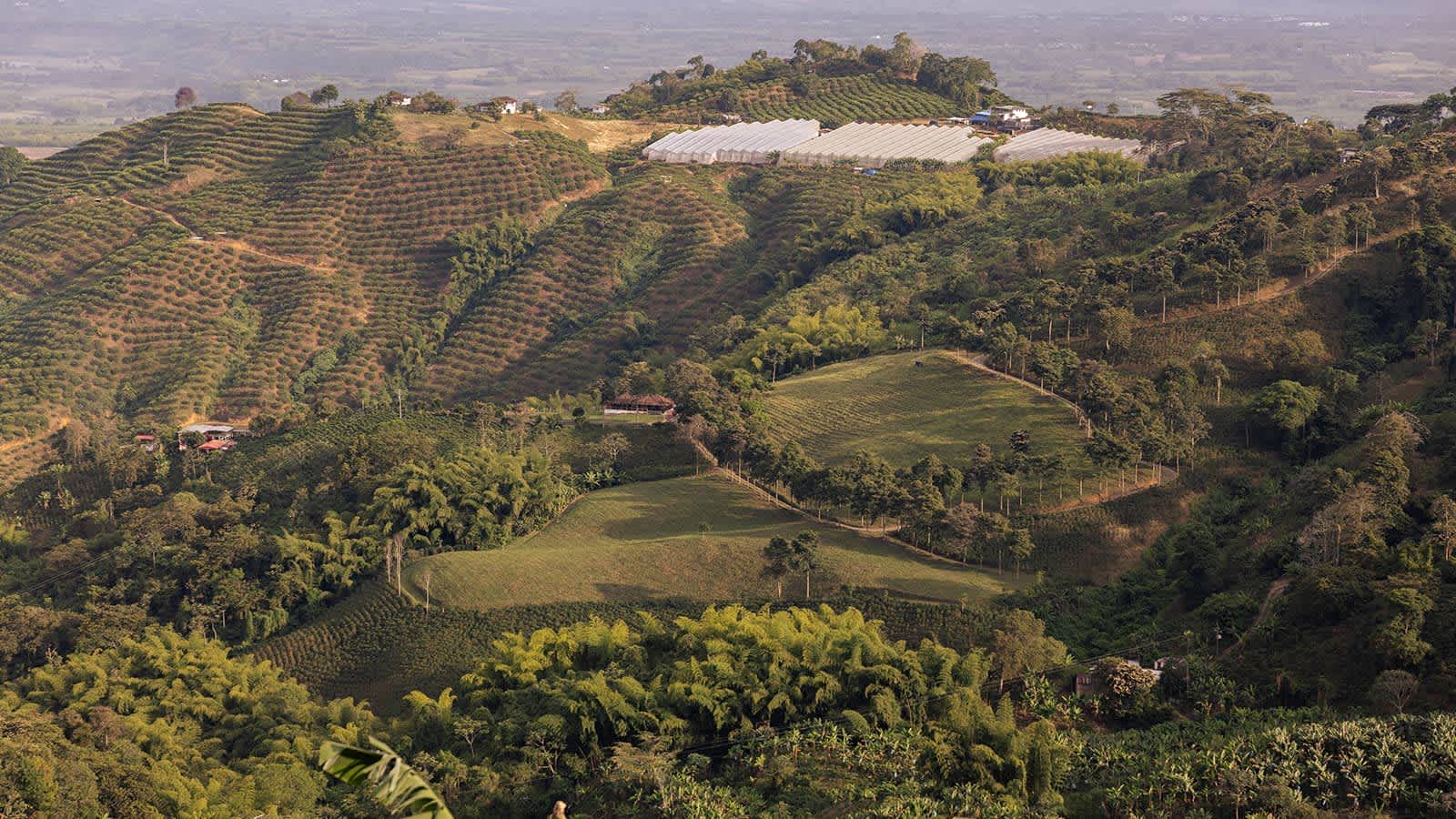 Panoramic view of Hotel Casa Malva Villas